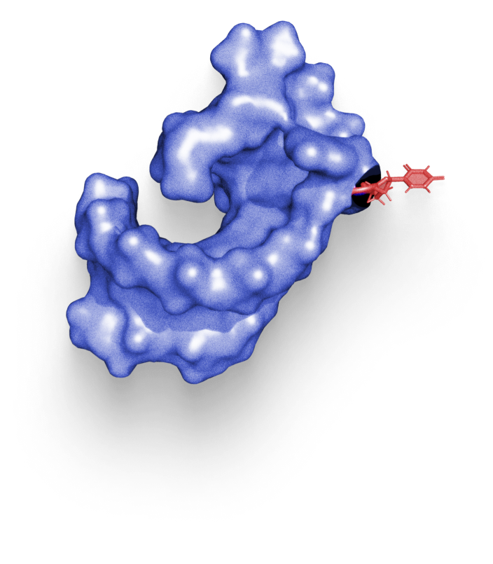 Ribonukleinsäure mit isotopenmarkierter Nukleobase (Illustration)