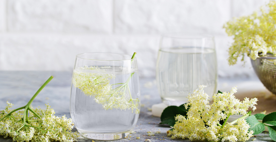 Holunderwasser mit frischen Holunderblüten