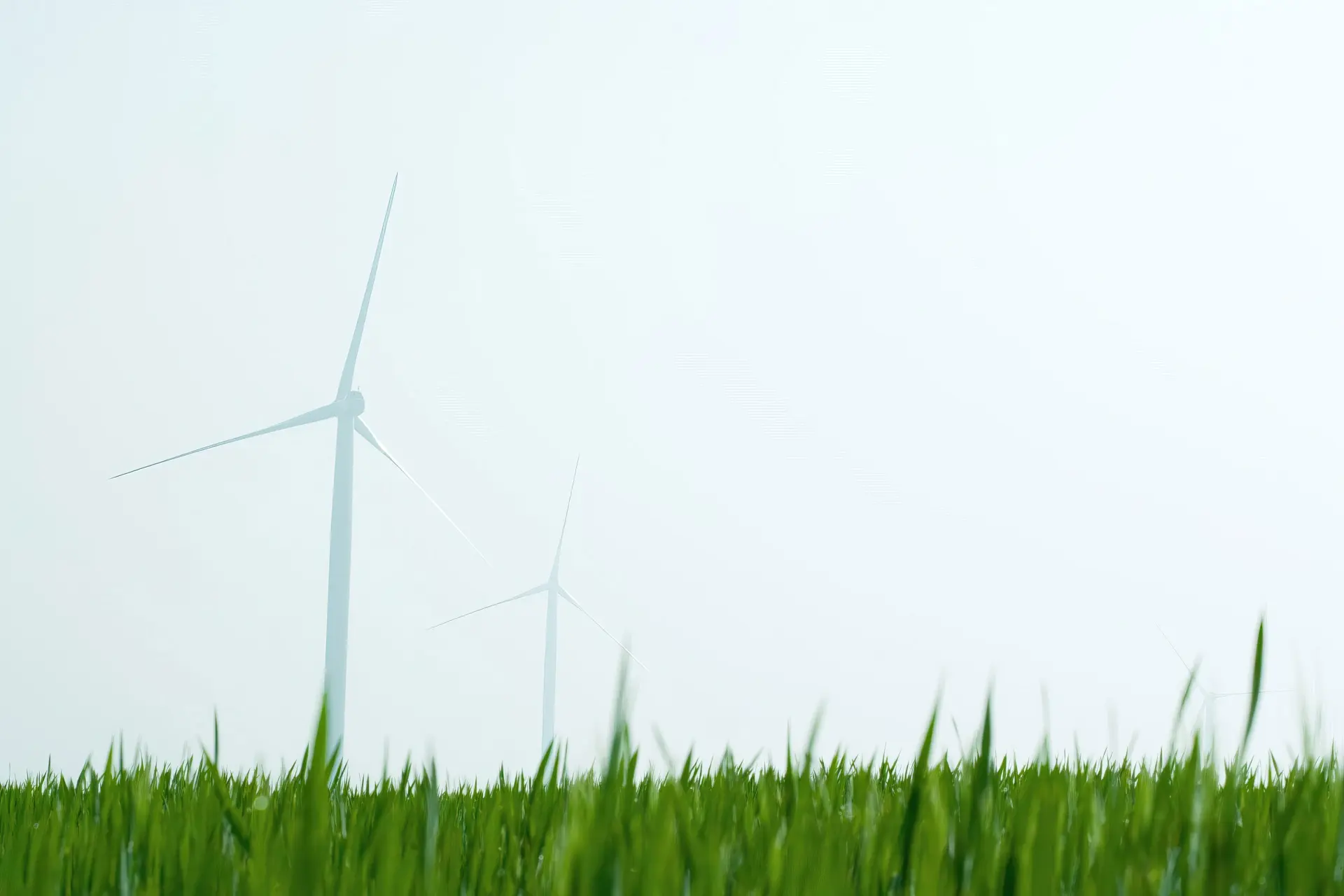 Wind energy drives