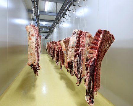 Räuchern & Kochen