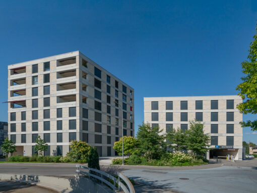 Spaltmauer-Verblender Curiger Immobilien