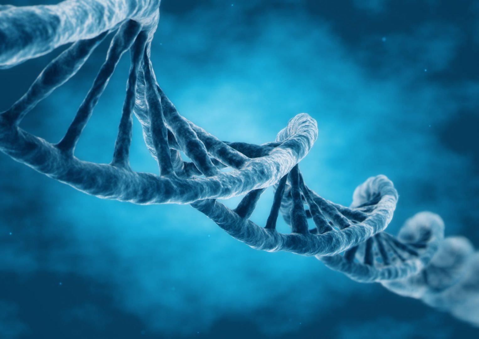 DNA – Grundlage der Biotechnologie