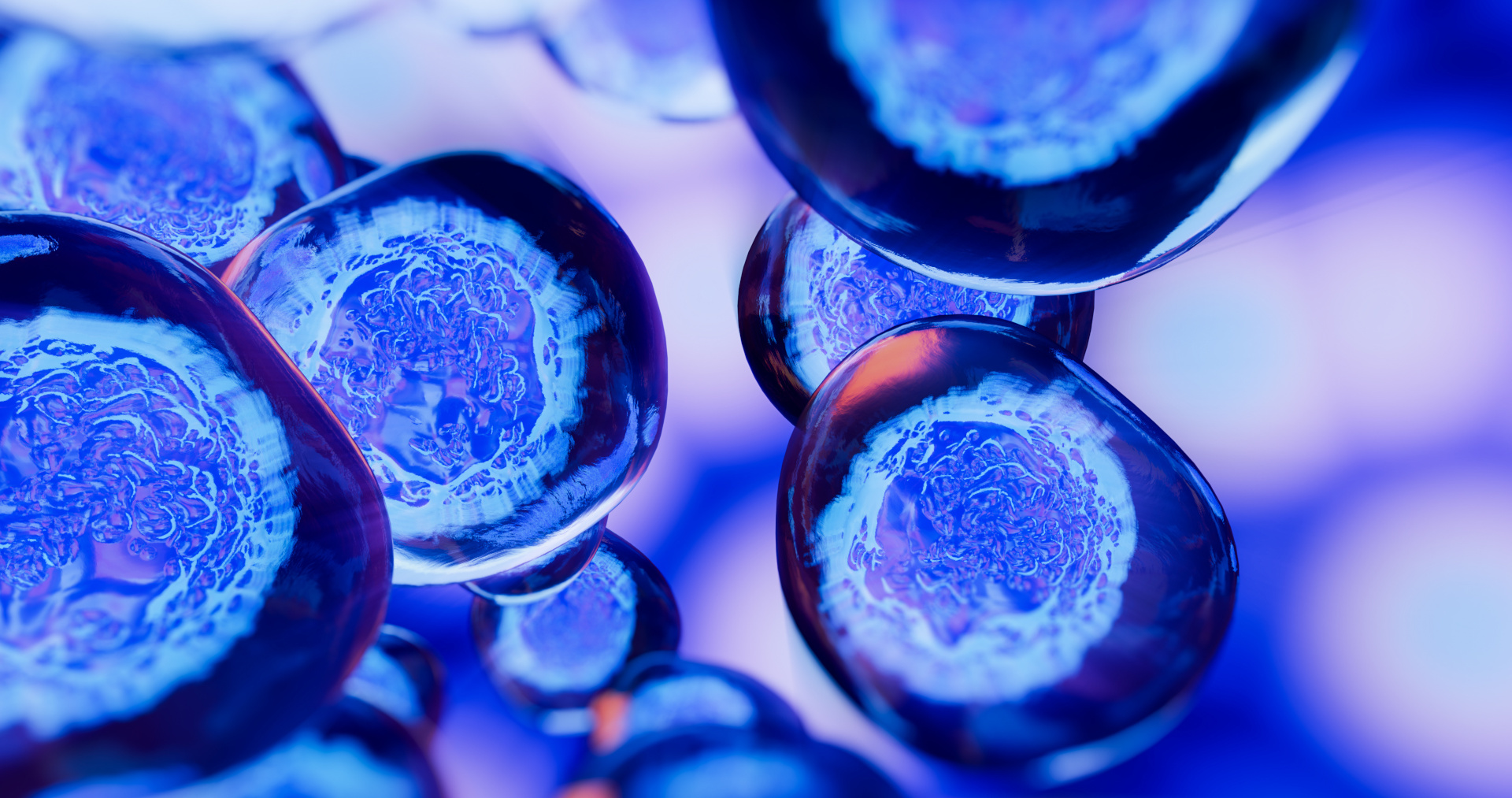 TCB Cells – Zelllinien