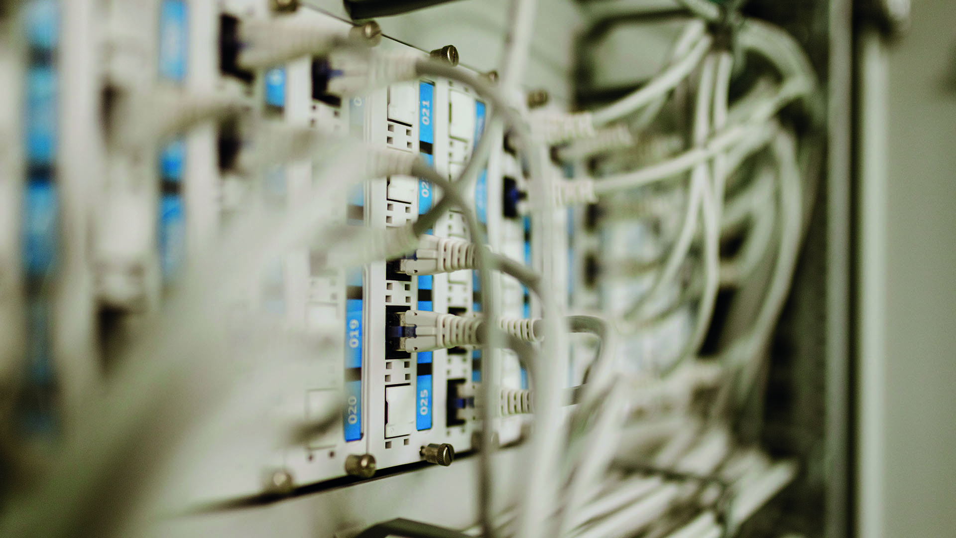 Patchpanel-Verkabelung