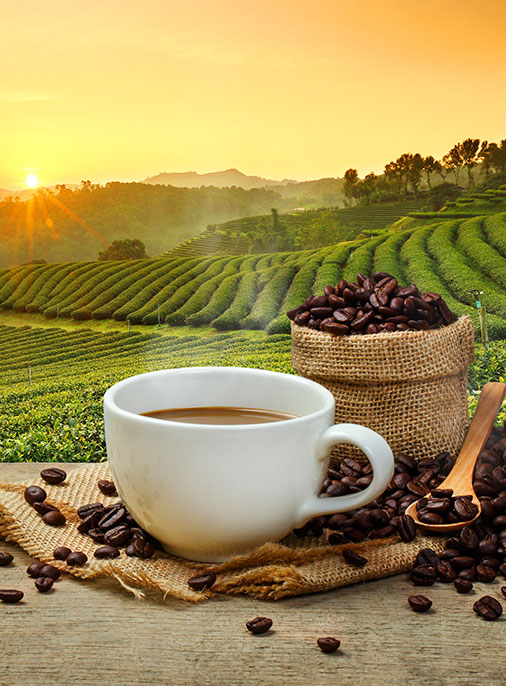 Single-Origin-Kaffees
