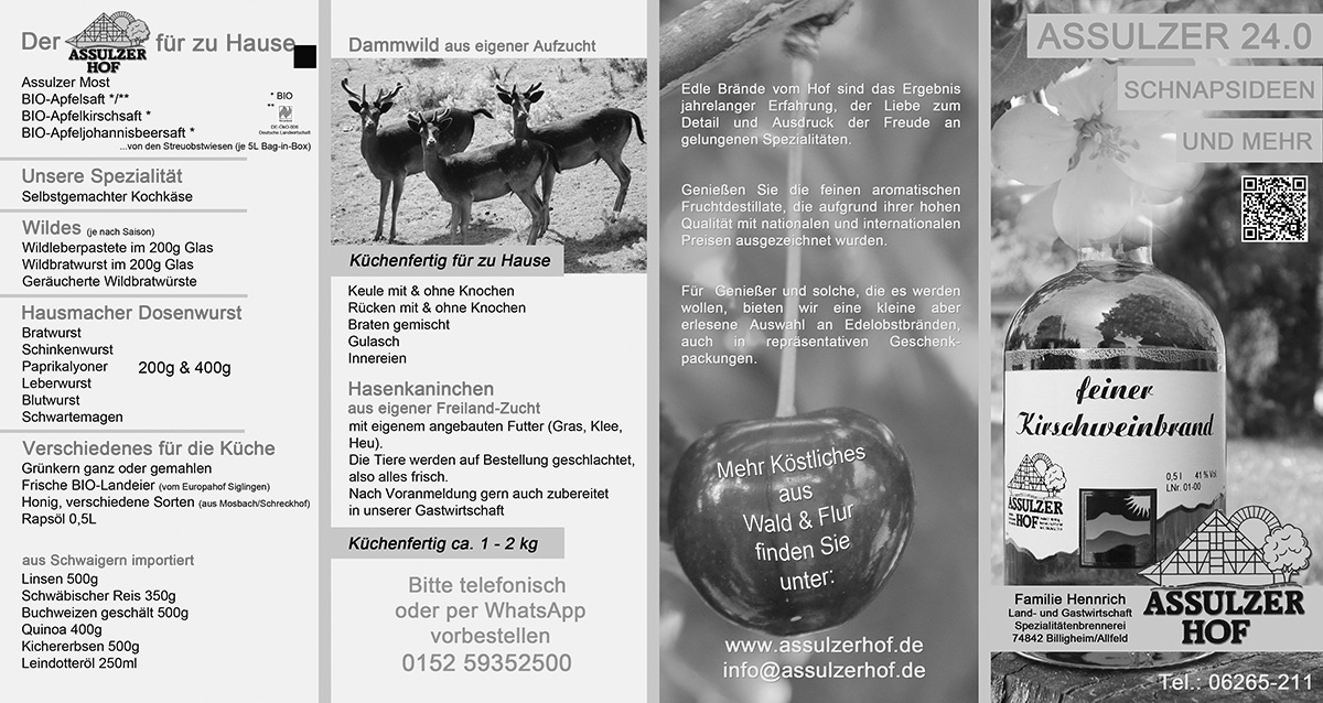 Referenz-Banner Assulzerhof