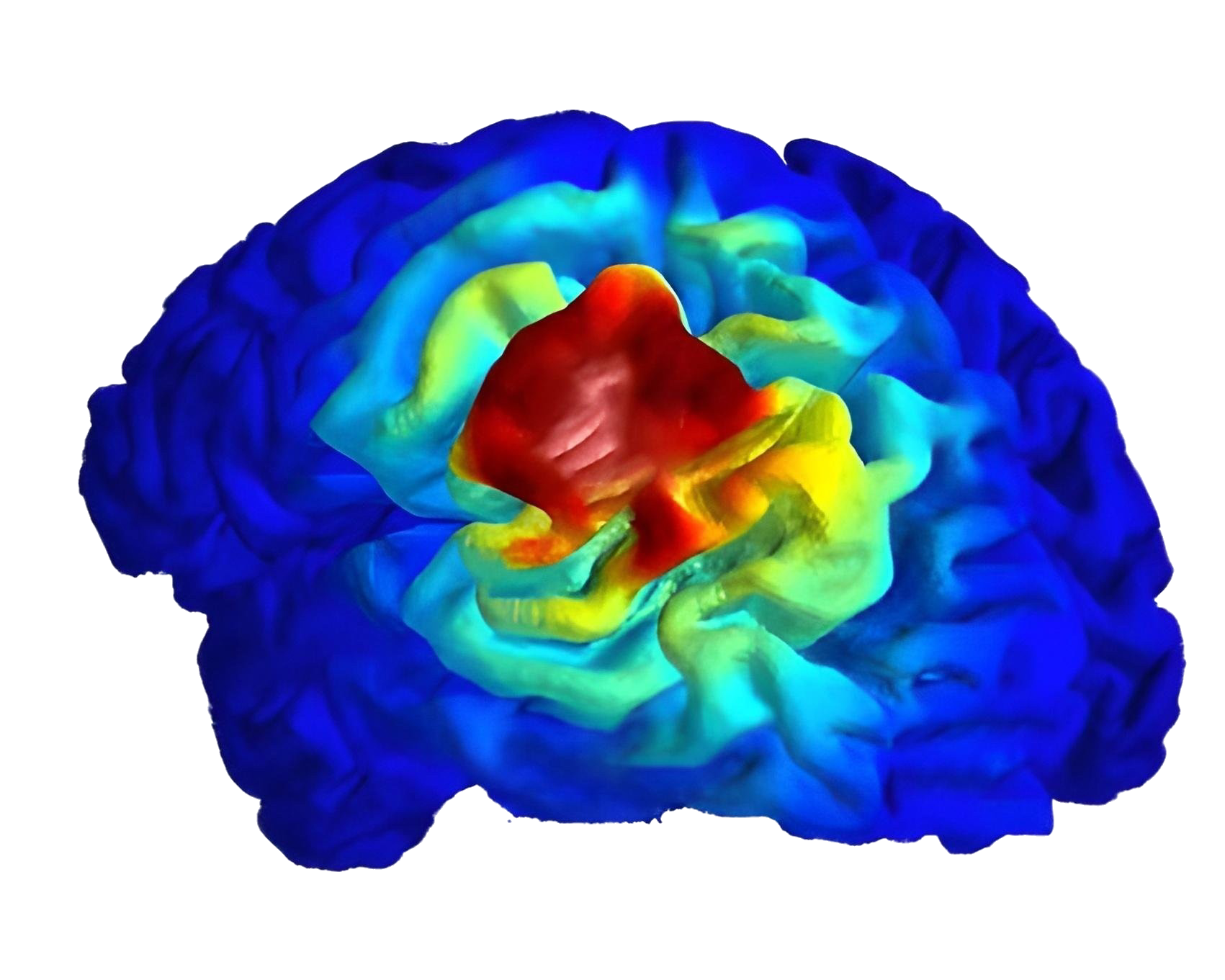 Neurotechnologie-Ansicht