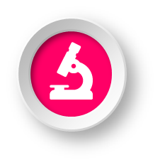 Qualitätsmanagement QMS
