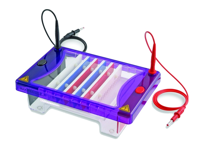 EasyPhor Medi Gelelektrophorese Kammer 3GT 15