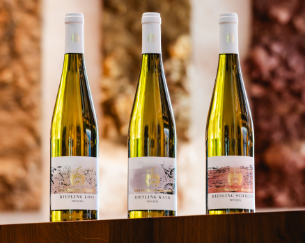 Riesling Terroir Probierpaket