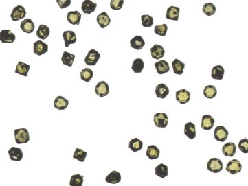 Diamant-Charakterisierung