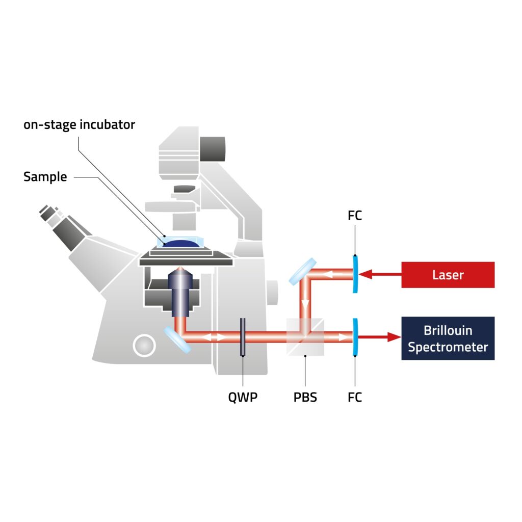 Discoverer™ Brillouin-Mikroskop (Add-on-System)
