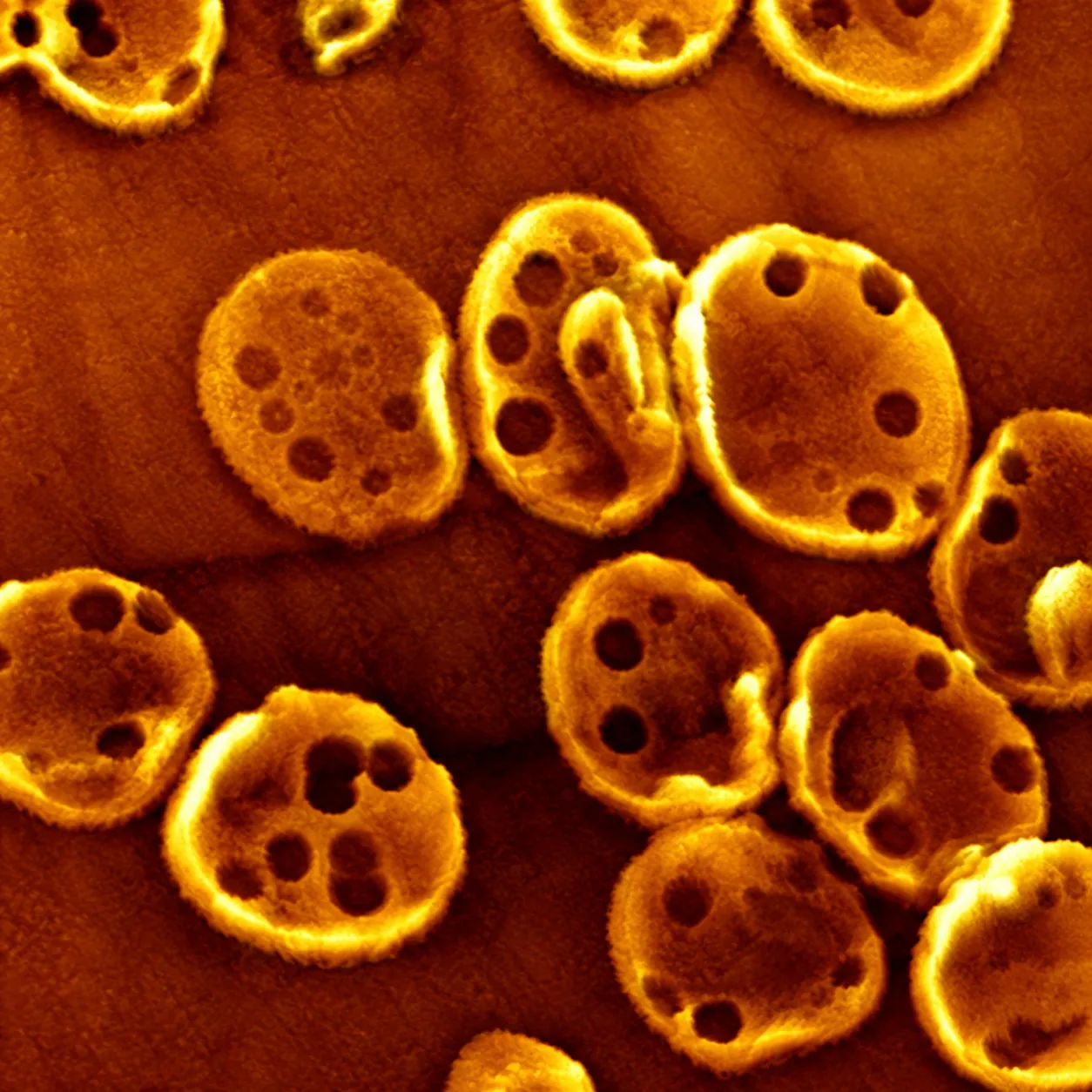 In-liquid und Biosensing