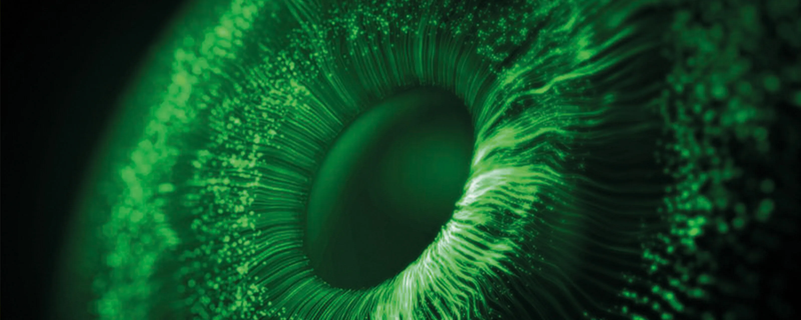 Machine-Vision-Installationslösungen