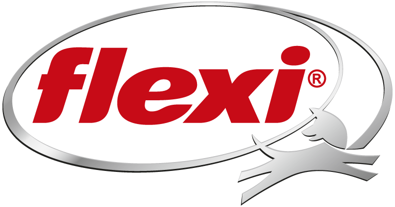 flexi Logo