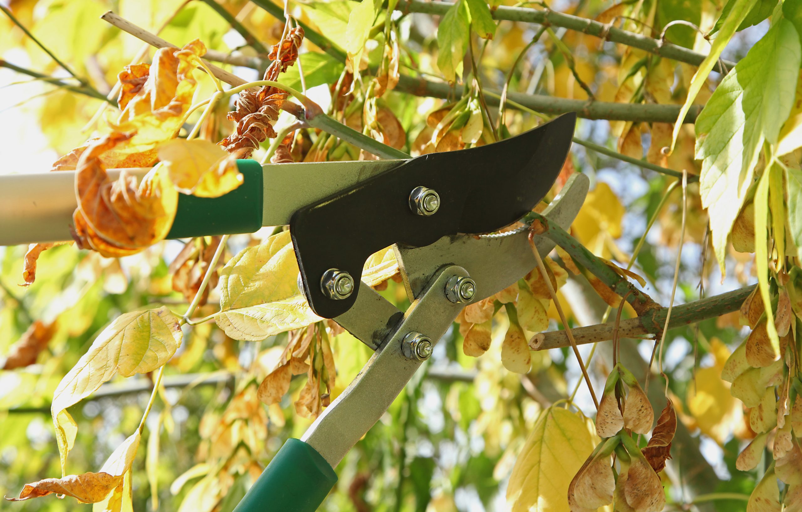Gardencenter.ch – Fertigung
