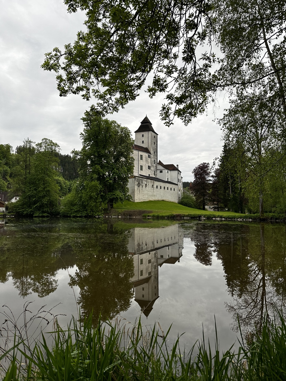 Schloss Seisenegg spiegelt sich im Wasser