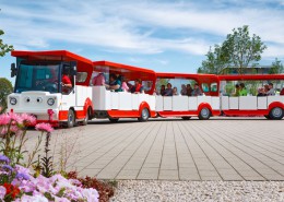 Elektro-Wegebahn LANDAUER E15/45R