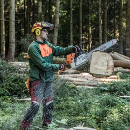Baumfällung mit Motorsäge