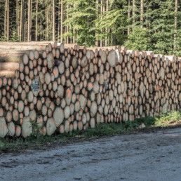 Rundholz für das Sägewerk