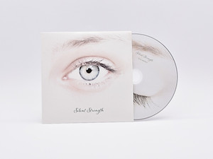CD-Stecktasche