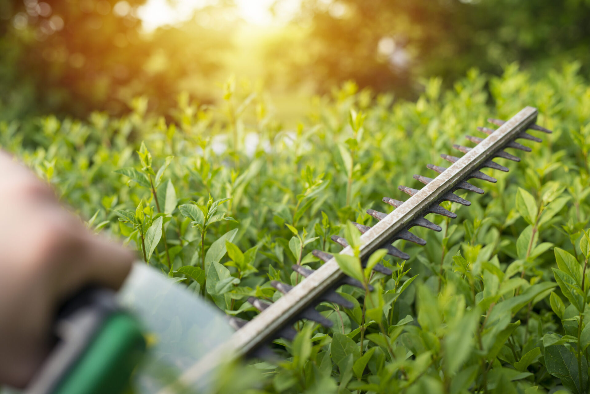 Charging systems for professional tools (hedge trimmer/flex)