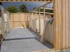 Stallgasse mit doppelwandigem Trittschutz