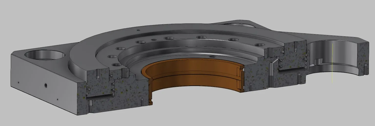 Ring piston