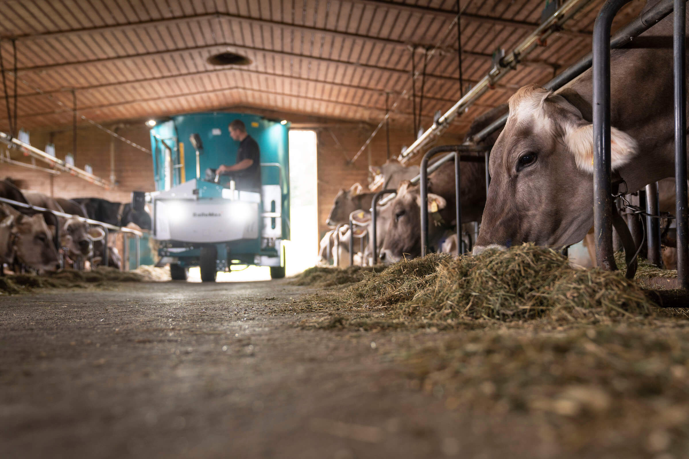Produktion und Werkstatt in Wittenbach