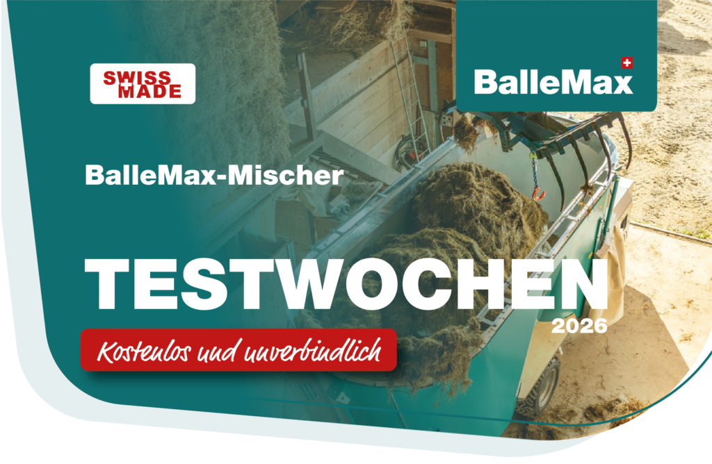 Testwochen-Programm