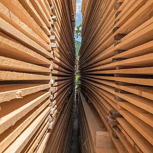 OSB, MDF, Spanplatten