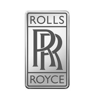 Stainless steel door handles