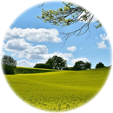 Umwelt und Natur