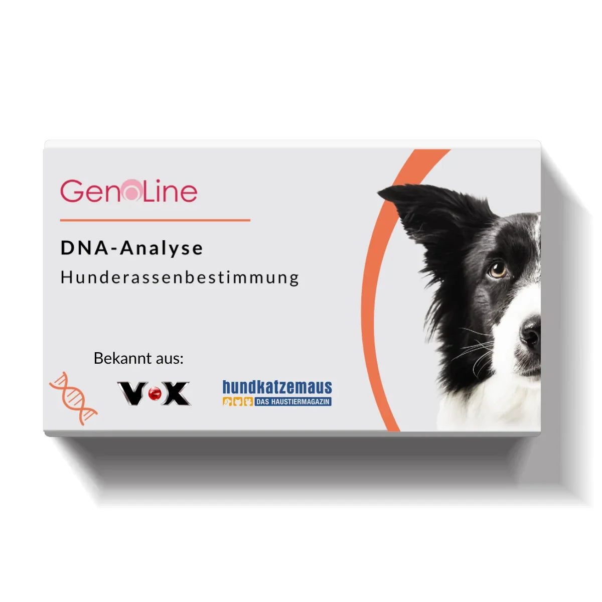 DNA-Rassebestimmung Hund