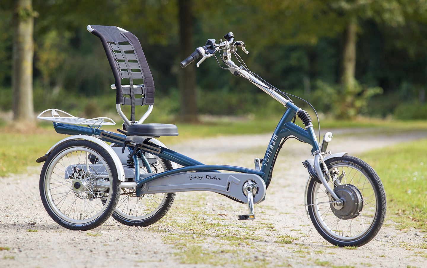 Elektronik mit Motorcontroller und Anzeige für Spezialräder