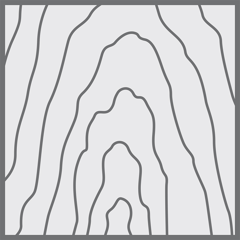 Furnierstruktur