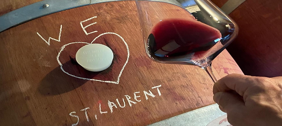 St. Laurent Rotwein