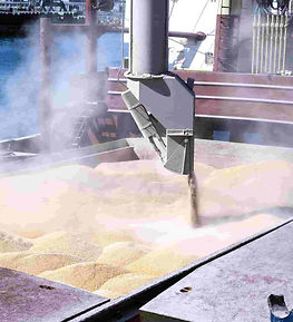 Bulk-Ladung Holzpellets