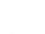 Logo LÖWE automobil