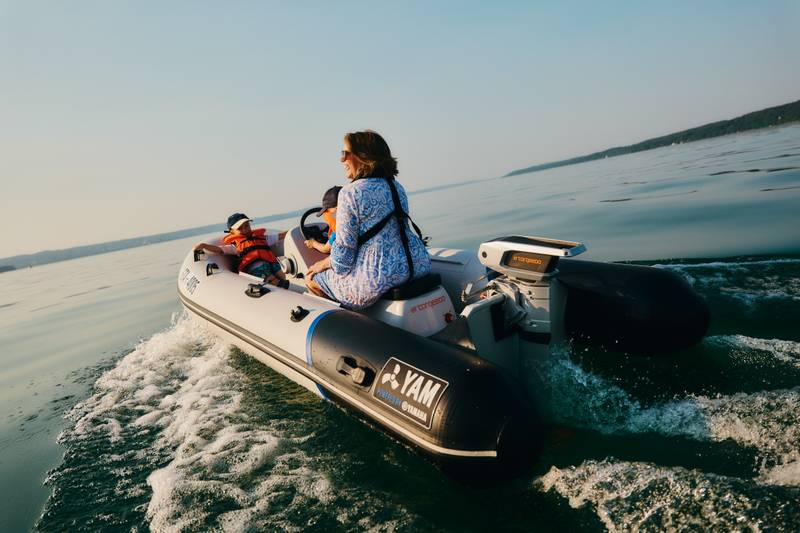 Elektro-Aussenbordkomponenten Torqeedo Cruise
