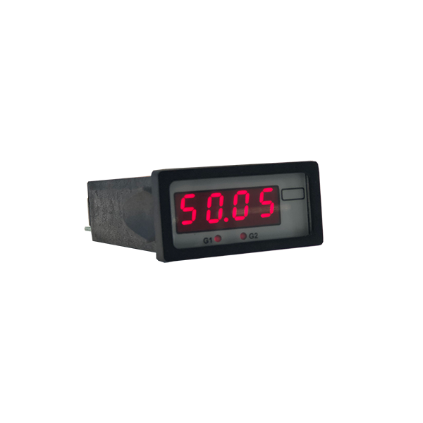Prozessanzeiger PMO 5005