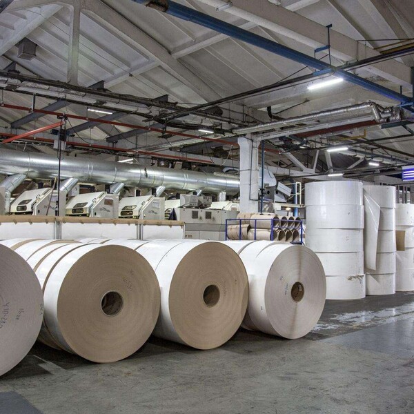 Zellstoff & Papier