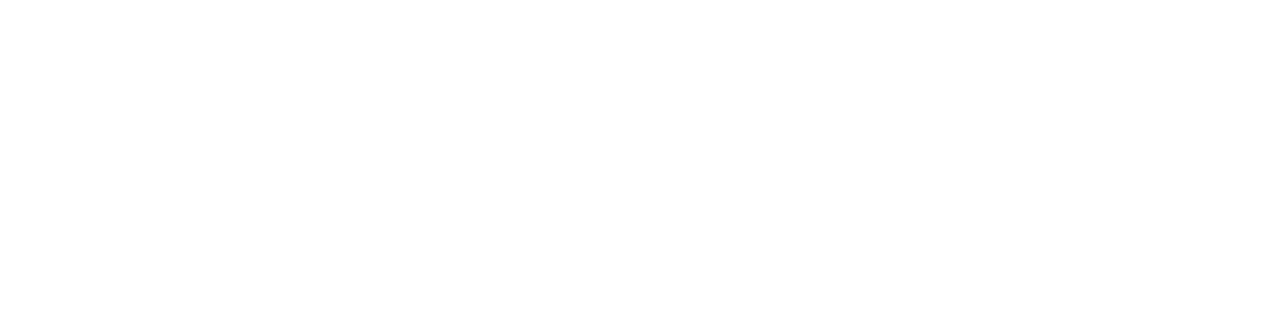 Heiland Vision Logo