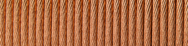 Litzen