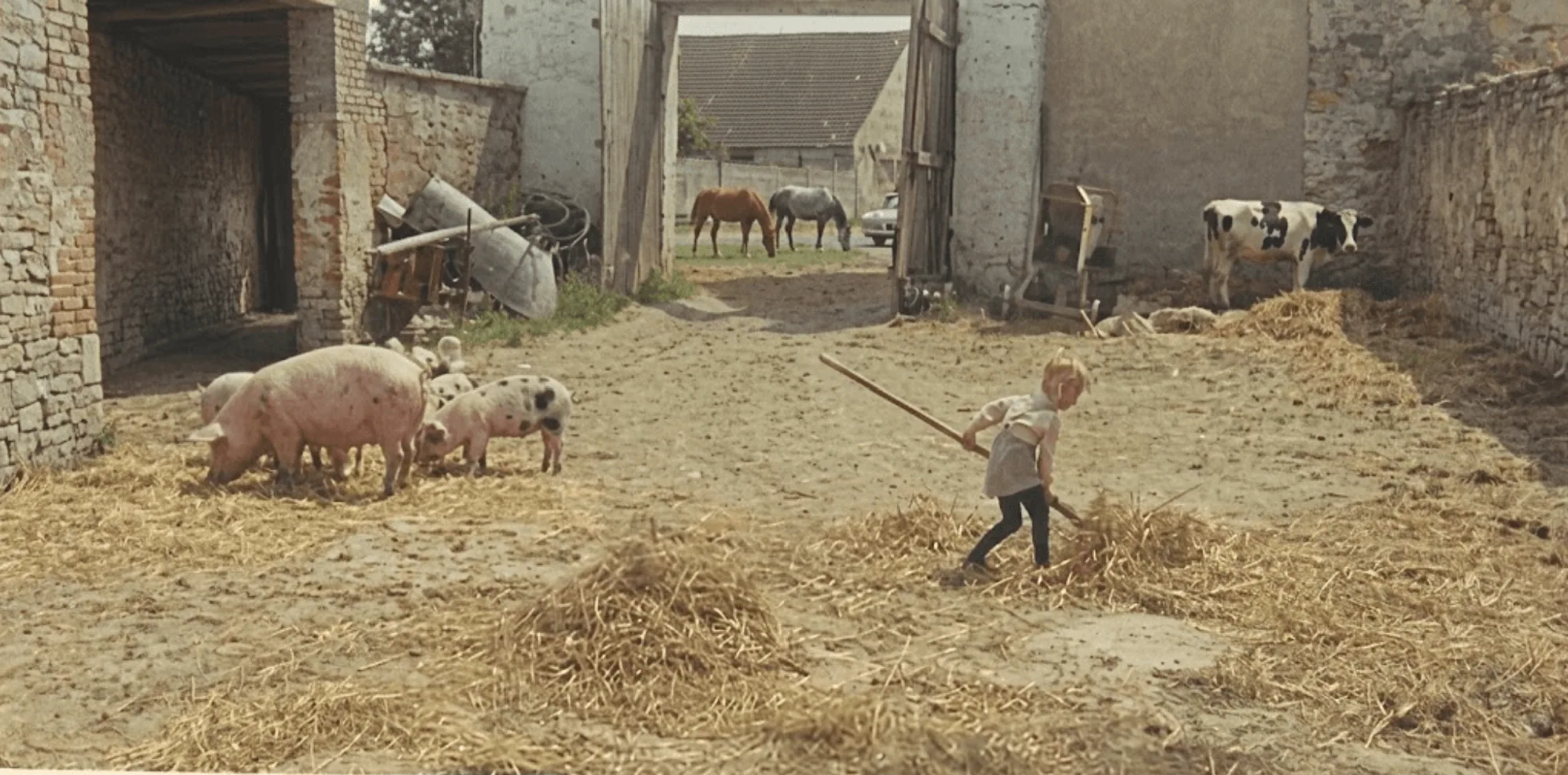 Historisches Foto vom Hof (bis 1980er)