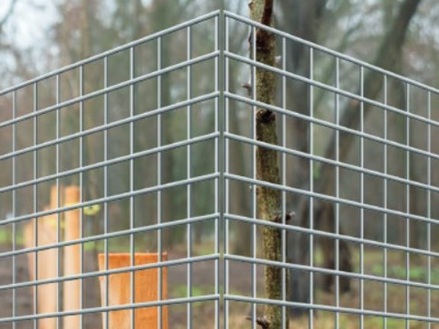 Baumschutz