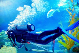 Anwendung Wassersport