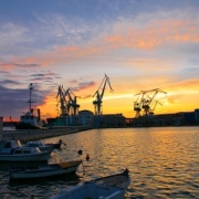 Export Management