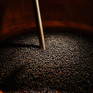 Schwarze Wacholderbeeren als Botanical