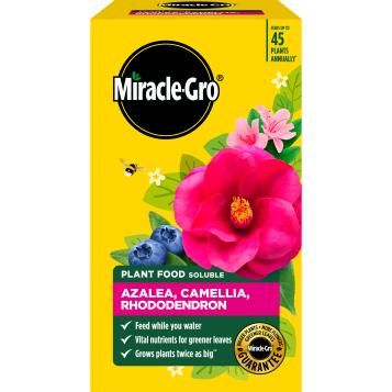 Flüssig-Dünger für Azaleen, Kamelien und Rhododendren